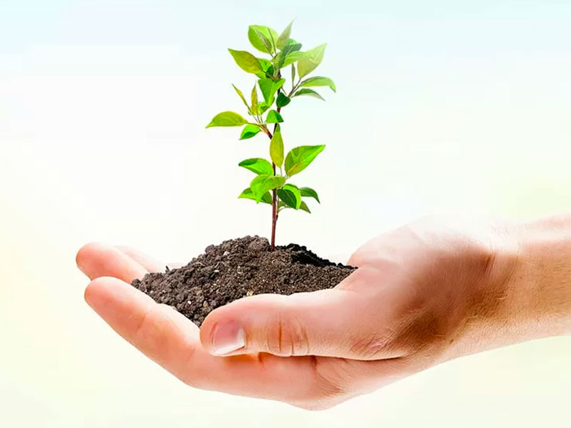 Bonifiche ambientali